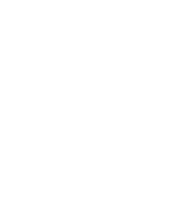 Background Form