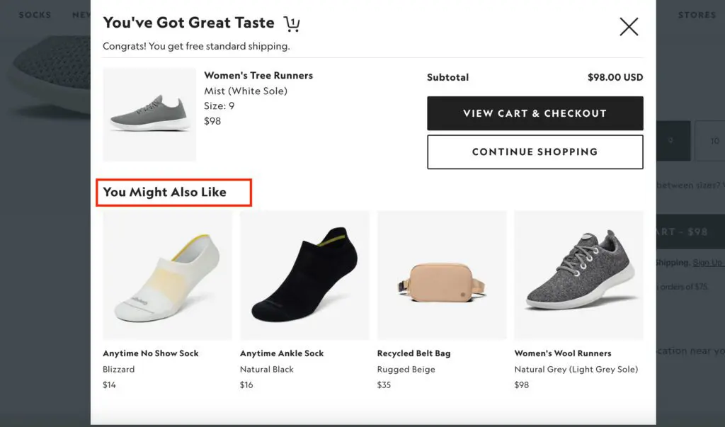 Allbirds upselling popup
