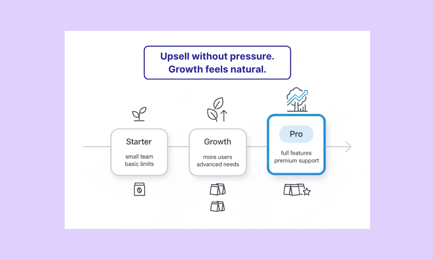 Starter Growth Pro Natural Upsell Journey Illustration