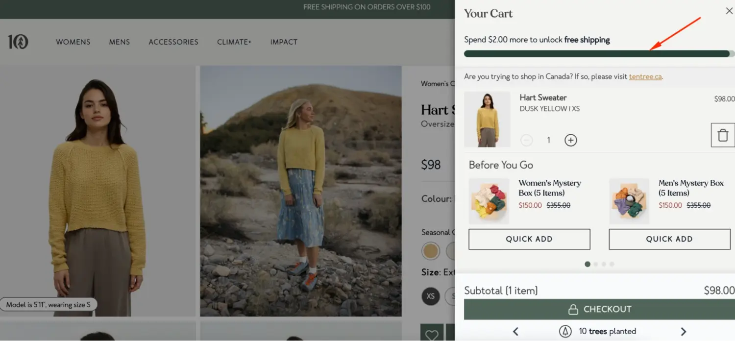 Cart Drawer Progress Bar In Ecommerce Store