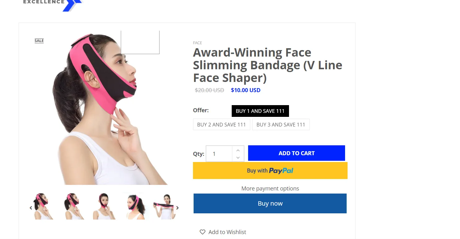 Shopify Buy It Now Button