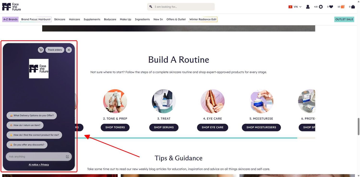 Live Chat Example On Shopify Store