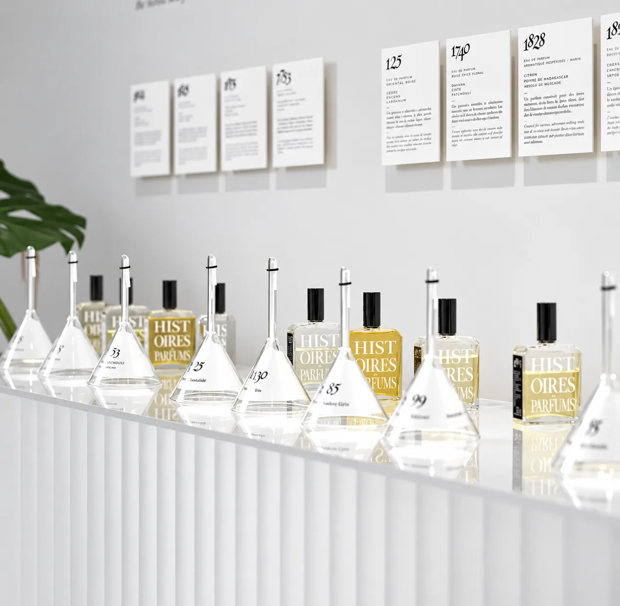 Minimalist Luxury Fragrance Display